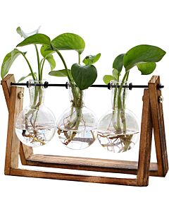 XXXFLOWER Plant Terrarium with Wooden Stand, Air Planter Bulb Glass Vase Metal Swivel Holder Retro Tabletop for Hydroponics Home Garden Office Decoration - 3 Bulb Vase